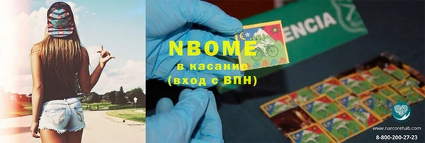 прущие грибы Дрезна