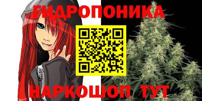 дмт Волгодонск