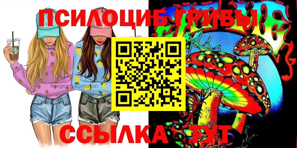 Ишим  Псилоцибиновые грибы прущие грибы  Вход с VPN 
