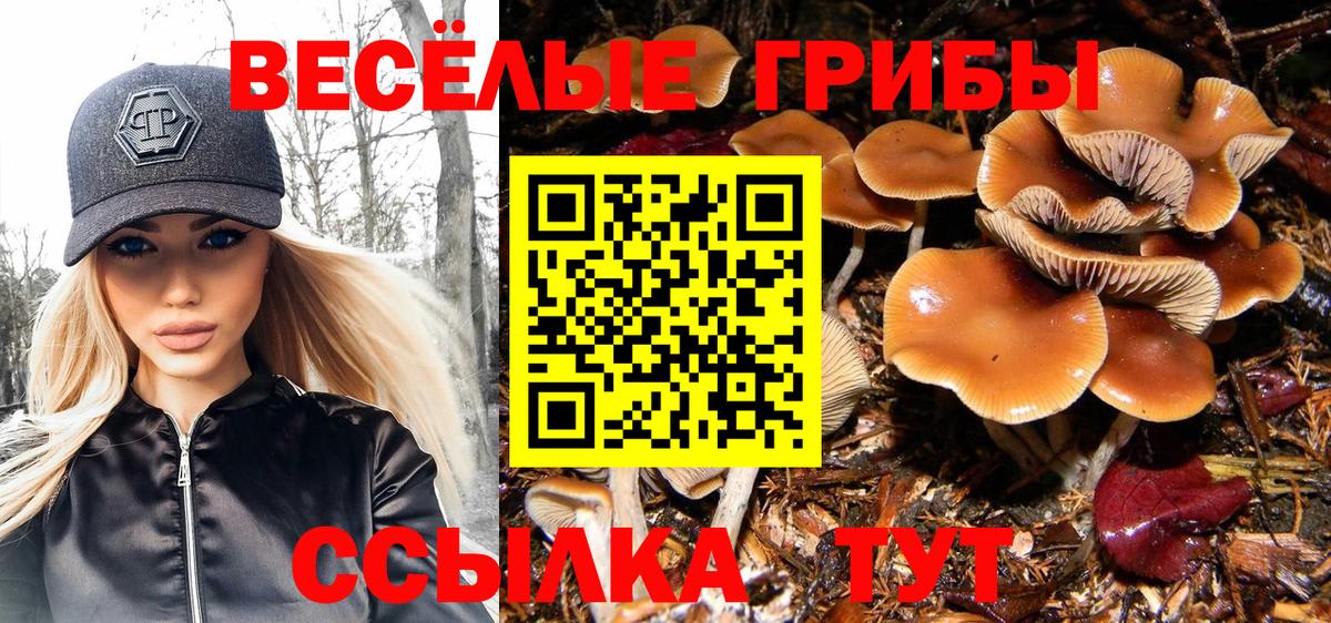 Псилоцибиновые грибы Cubensis Ишим