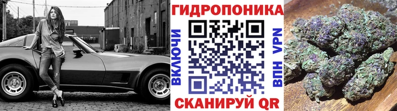 Марихуана Bruce Banner  Ишим 